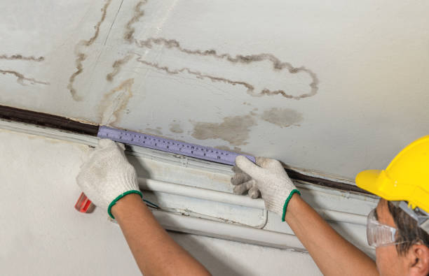 Reliable Water Damage contractor in Bay City, OR by Water Damage Irwin